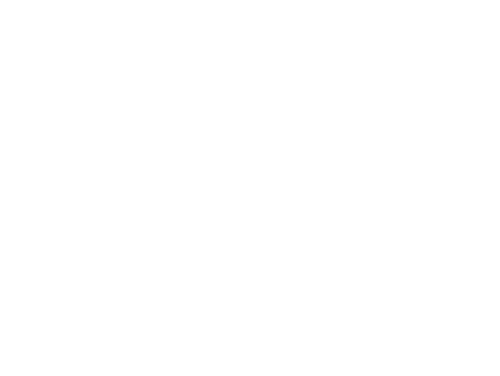 Logo DITRIBUCIONES EL CASERO